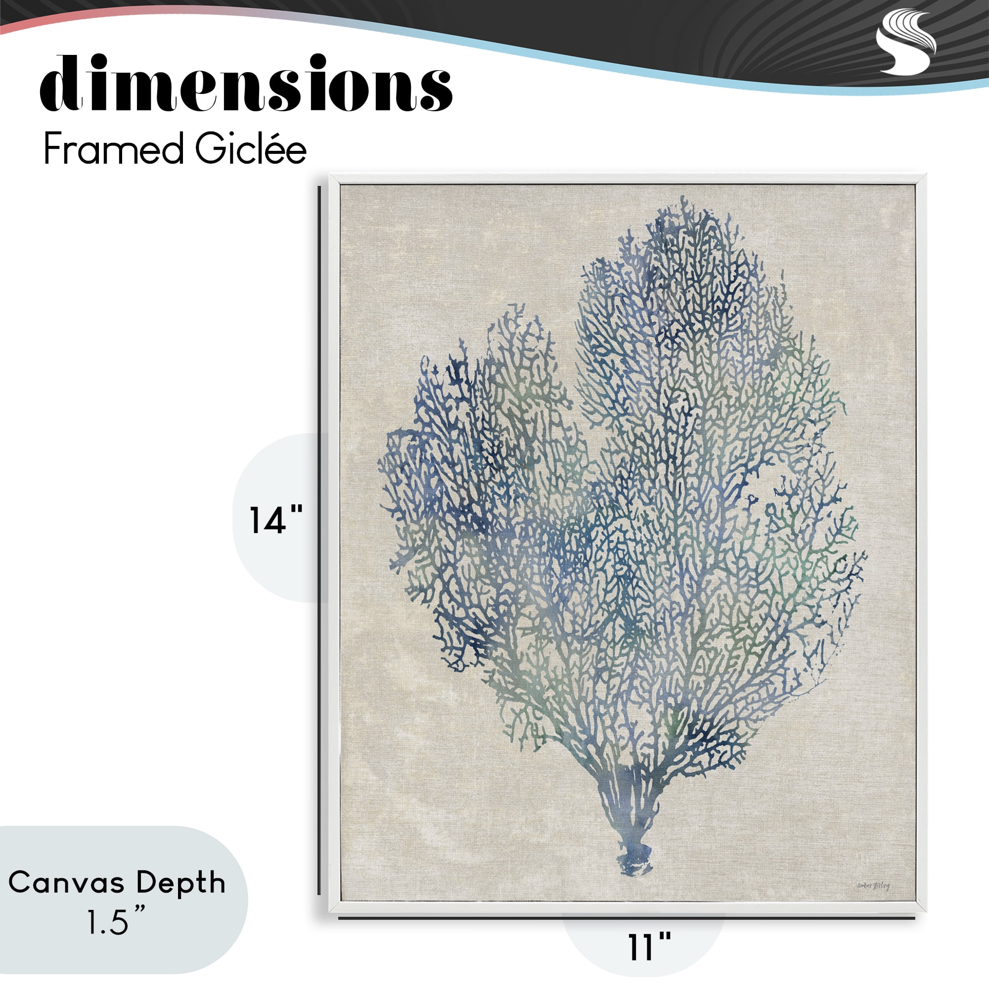Stupell Industries Fan Coral in Blue & Green White Framed Giclee Art, design by Amber Sterling