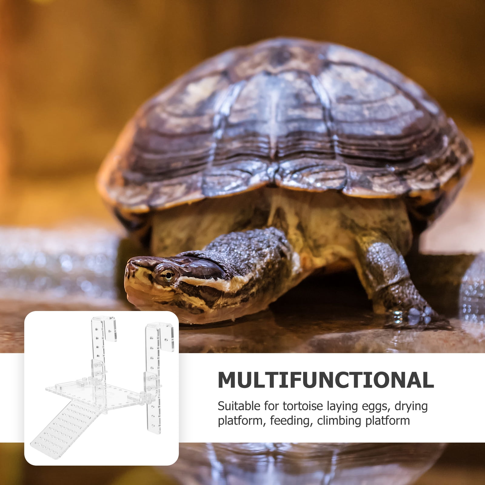 PTOOTP 1Pack Turtle Basking Ramp with Transparent Material for ...