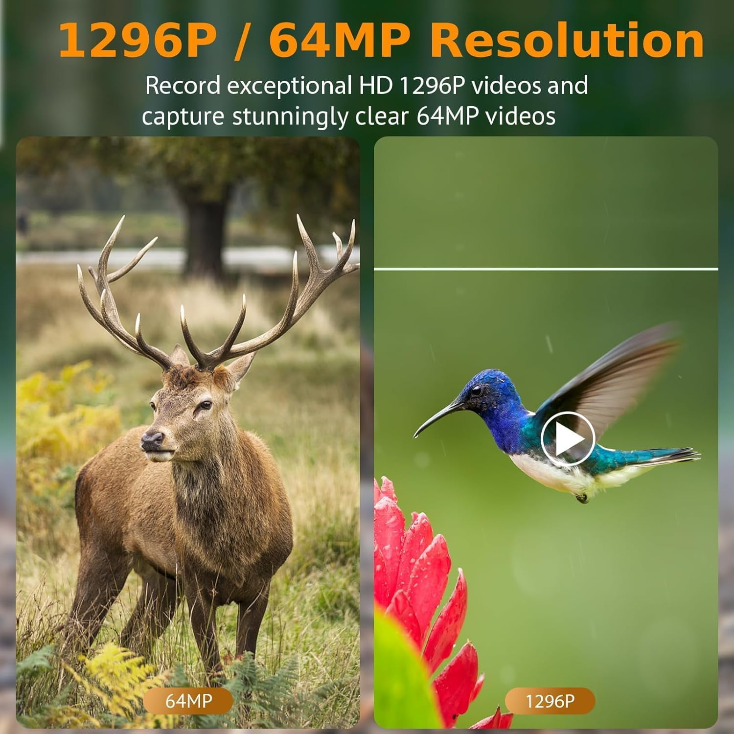 2-Pack 64MP Trail Cameras with 1296P HD Video, Night Vision No Glow, 0.1S Motion Activation, IP66 Waterproof - Ideal for Outdoor Wildlife Hunting & Home Security Surveillance-Gray