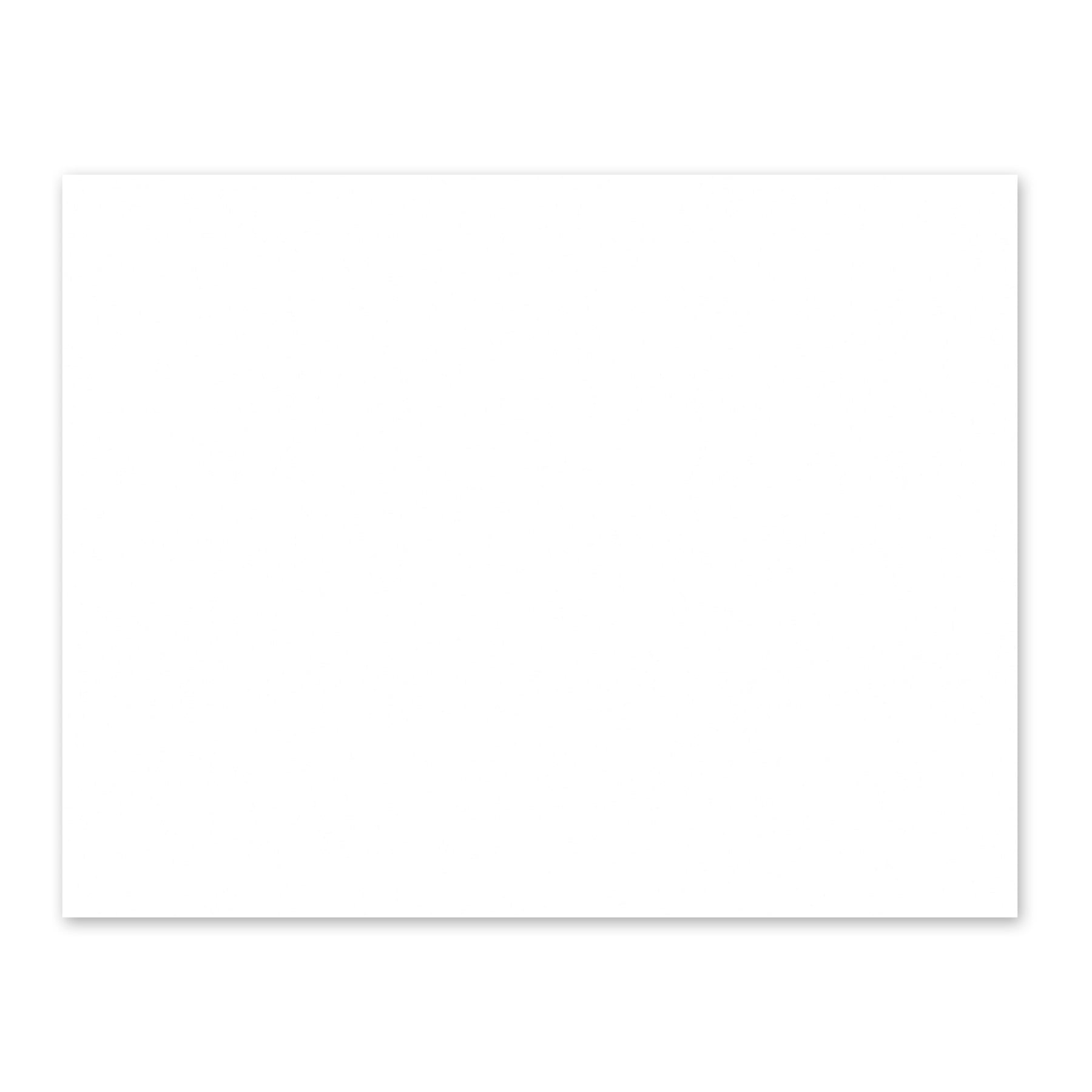 WallPops White Giant Dry Erase Decal