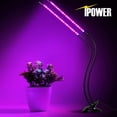 thumbnail image 2 of Grow Light iPower de 10 W, espectro rojo y azul, doble cabezal con temporizador, 2 of 6