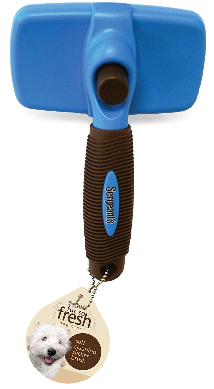 curved slicker brush dogs