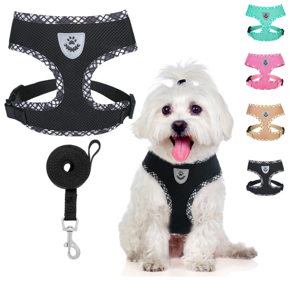BINGPET Harnais et Laisse pour Chien, Harnais Réfléchissant Sans Traction en Maille Douce Respirante, Harnais Réglable pour Petits et Moyens Chiens Chiots Chats (Noir, P)