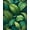 Green, Pattern 4, variant on ODIKA 4'x6' Machine Washable Non-Slip Area Rug, Monstera Jungle Abstract with Large Scale Plant Inspired Graphics High Traffic Rug, Green, 149875