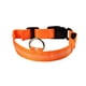 thumbnail image 1 of Billuyoard Collar de perro Led con carga USB, Collar antipérdida/para evitar accidentes de coche para perros, cachorros, collares para perros, Suministros para perros Naranja S, 1 of 4