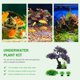 thumbnail image 4 of 1 Set Subdacy Plant Kit Fish Tank Decoración de árbol Aquarium paisaje PROP FAKE Plantas Decoración, 4 of 6