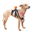 thumbnail image 4 of Arnés Perro Dog Harness Compatible GoPro Cámaras Deportivas PULUZ AR-PR-01, 4 of 5
