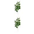 thumbnail image 2 of Advancent 10x Decoración De Plantas No Tóxicas - Para Oficinas Y Salas De Estar Jardín Arreglo Frescura Type5 NO5, 2 of 6