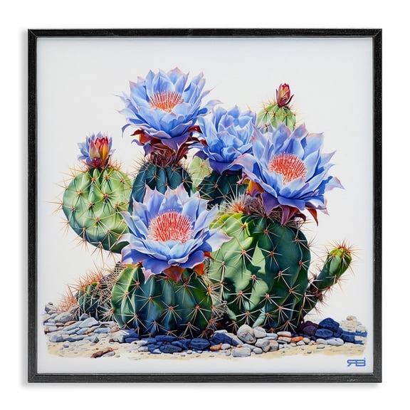 Stupell Industries Modern Blue Cactus Blossoms Black Framed Giclee Art, 17 x 17, by RB