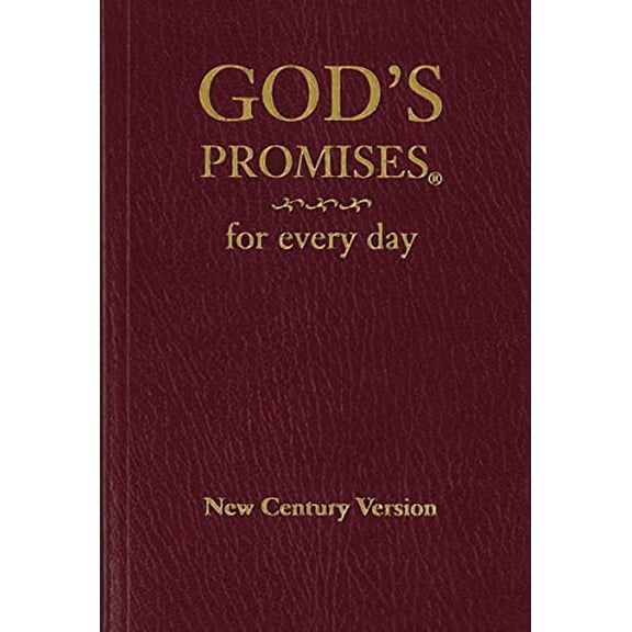 Pre-Owned God's Promises for Every Day (Paperback) 0849962684 9780849962684