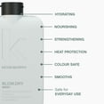 thumbnail image 4 of KEVIN.MURPHY BLOW.DRY WASH, Heat Protection & Repair Shampoo for All Hair Types, 250 mL, 4 of 7