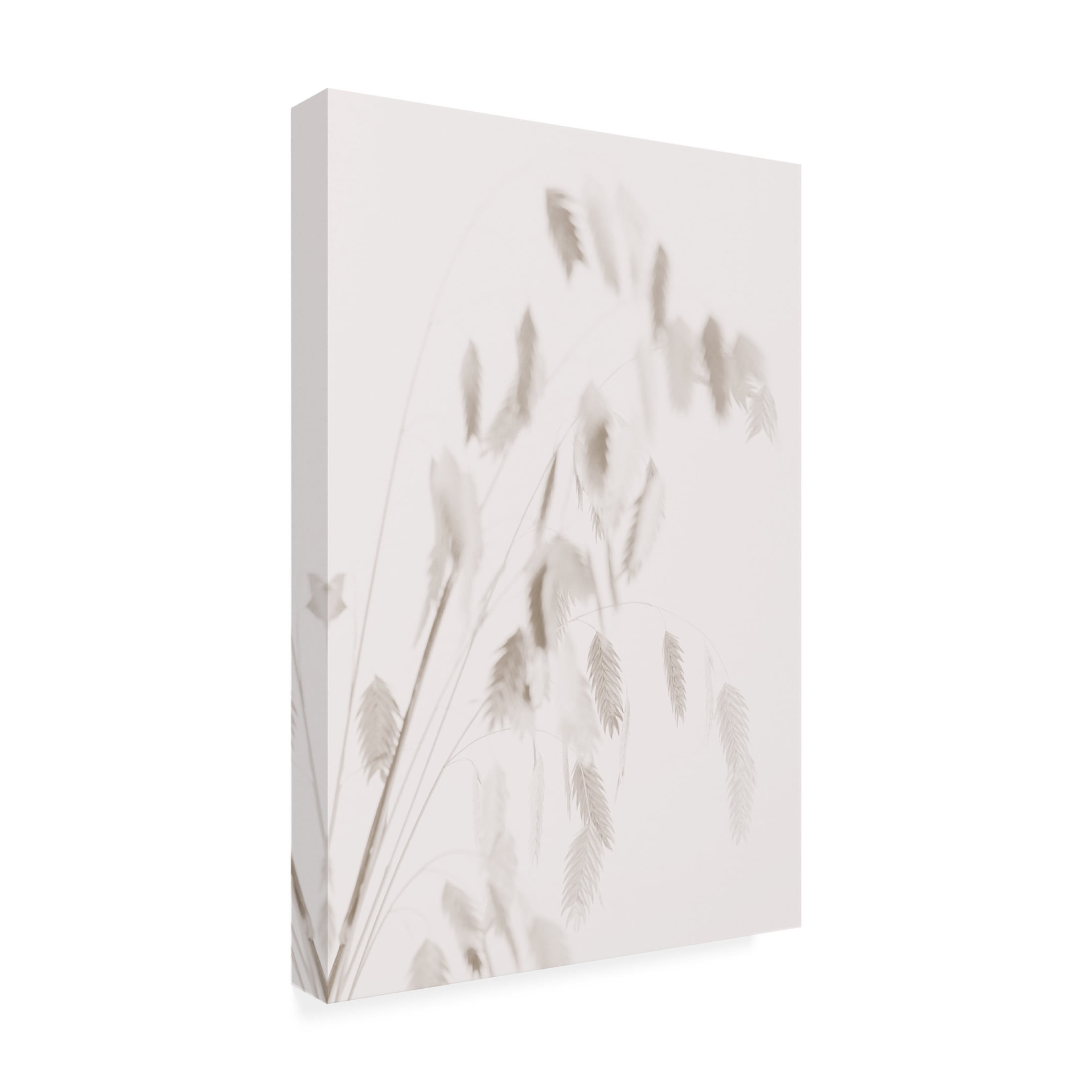 Trademark Fine Art Pictufy Studio Dried Grass Pink Canvas Wall Art