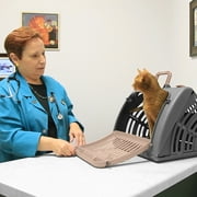 Sport Pet Designs Cat Carrier, Foldable Plastic, Medium, 25 lb Limit, Gray, 15.25 L x 18.5 W x 14.25 H
