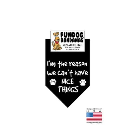MINI Fun Dog Bandana - I'm the Reason we Can't Have Nice Things - Miniature Size for Small Dogs under 20 lbs, black pet