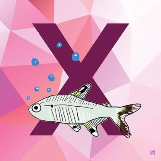 X Canvas Art - Aubr