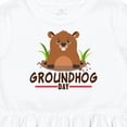 thumbnail image 4 of Inktastic Groundhog Day with Cute Groundhog Illustration Girls Toddler Dress, 4 of 5