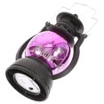 thumbnail image 2 of Halloween Skeleton Lantern Light Portable Battery Powered Skull Light Hanging Lantern Lamp, 2 of 8