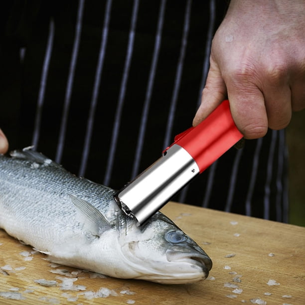 Escalador de pescado eléctrico Removedor de de pescado Limpiador Herramienta de limpieza de Descalcificador Limpieza automática de Rojo Baoblaze Escalador eléctrico