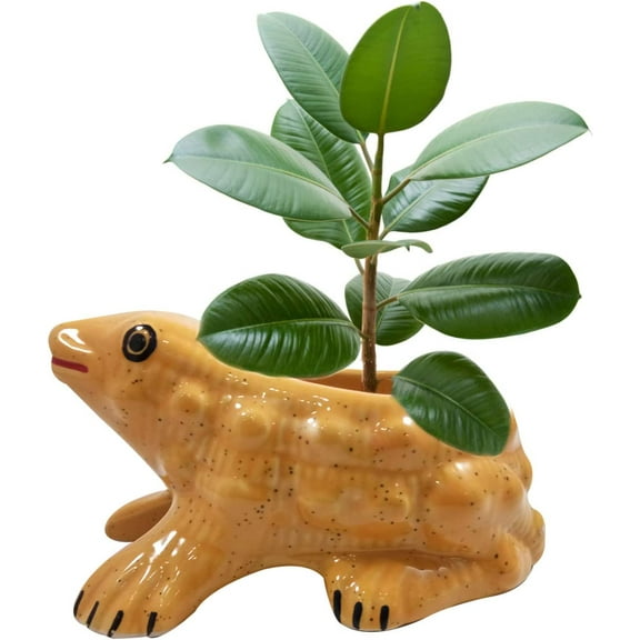 India Meets India Ceramic Yellow Frog Planter Flower Pots Ceramic Planter Plant Pots Indoor Outdoor Planter Handicraft by Awarded Indian Artisan