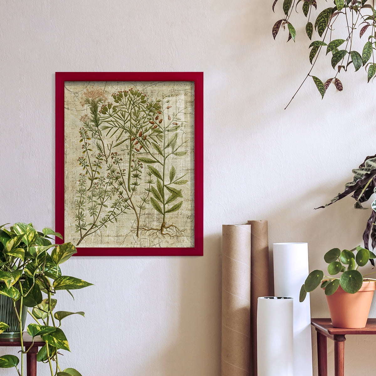 Garden Verses I -Framed Print w/glass-Cherry Red