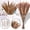 A, variant on Dengmore Sales 100PC Dried Decoration Dried Flowers Vases Bouquet Boho Decoration Branches B
