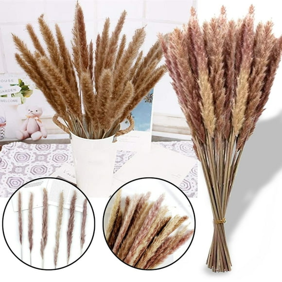 Dvkptbk Reed Bouquet 30Pc Dried Decoration Dried Flowers Vases Bouquet Boho Decoration Branches Home Decor