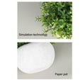 thumbnail image 3 of Planta artificial ANGGREK en maceta 3 Piezas de Fácil mantenimiento Base Redonda, 3 of 8