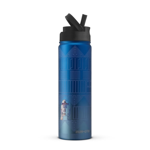 Star Wars™ Linear R2-D2™ Stainless Steel Water Bottle - 22 oz