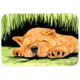 thumbnail image 1 of 24 x 36 in. Chow Chow Kitchen Or Bath Mat, 1 of 1
