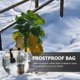 thumbnail image 1 of unbranded Protector Resistente Para Plantas Y Arbustos Heladas Y Frío, 1 of 8