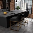 thumbnail image 3 of SEYNAR Mid-Century Modern Velvet Low-Back Bar Stools with Metal Frame, Set of 2（Black）, 3 of 14