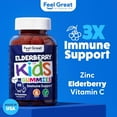 thumbnail image 3 of Feel Great Kids Elderberry Gummies with Zinc and Vitamin C | Kids Immune Support Sambucus Elderberry Gummies | Berry Flavored Vegan Kids Multivitamins | 90 Day Supply, 3 of 8