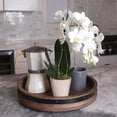 thumbnail image 7 of Just Add Ice Live Plant 10-12" Tall Petite White Orchid Live Plant in 3" Decorative Clay Pot, 7 of 7