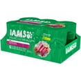 Iams Proactive Health Pate With Beef & Rice Wet Dog Food, 13 Oz, Case Of 6