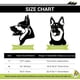 thumbnail image 3 of Gafas de sol y casco para perros de raza pequeña, gafas protectoras contra rayos ultravioleta para perros pequeños, casco de moto resistente al viento para perros con orificio para la oreja, 3 of 5