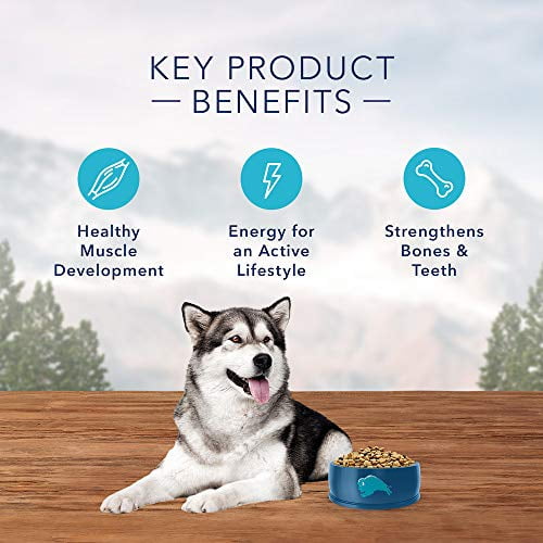 Natural wilderness cheap dog food
