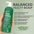 thumbnail image 3 of KESMEDIK Tea Tree Oil Shampoo MaxTherapy, Clarifying Deep Clean for Buildup, Dandruff & Cools Refreshes Itchy Scalp, Sulfate-Free for Oily Hair, Women & Men, 16 fl oz, 3 of 7
