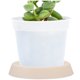 thumbnail image 1 of IDEANATEGRATE 10Ud Platos Base Decorativos Para Macetas Color Beige Ideales Para Uso En Interiores Y Exteriores, 1 of 8