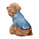 thumbnail image 5 of Balery Snowflakes1 Sudadera con Capucha para Perros Pequeños – Ropa para Mascotas, Disfraz para Perros y Gatos, Ideal para Fiestas y Cosplay-Small, 5 of 7