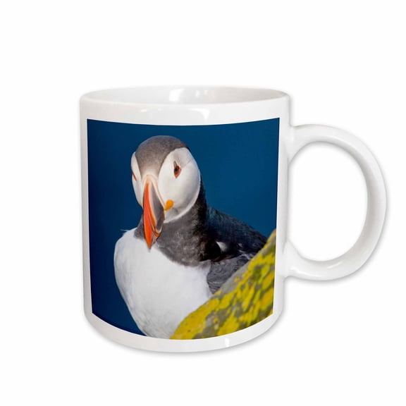 3drose, Atlantic Puffin, Latrabjerg Peninsula, Iceland - Eu14 Rbe0025 - Ralph H. Bendjebar, 15oz Mug