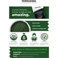thumbnail image 3 of Terrasoul Superfoods Organic Wheat Grass Juice Powder, 10 Oz (5 Oz 2-Pack) - Grown in Utah, Made from Nutrient Concentrated Juice, Revitalize with Green Nutrition: Smoothies, Detox Drinks, 3 of 8