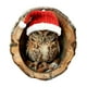 thumbnail image 2 of Adornos Navideños de Animales, Colgantes Planos de Acrílico Impresos En 2D | Adornos para Árbol de Navidad con Búho y Mapache | Adornos Colgantes Duraderos con Cuerda | Decoración Navideña para Árbol, 2 of 5