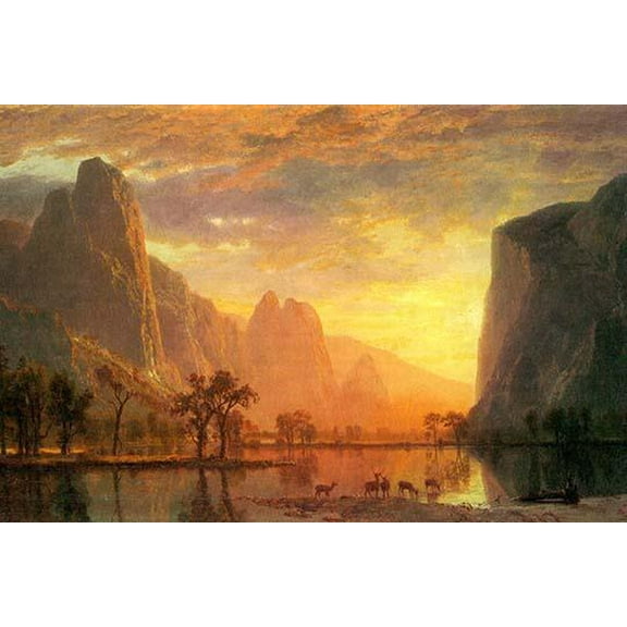 Valley in Yosemite-Fine Art Canvas Print (20" x 30")