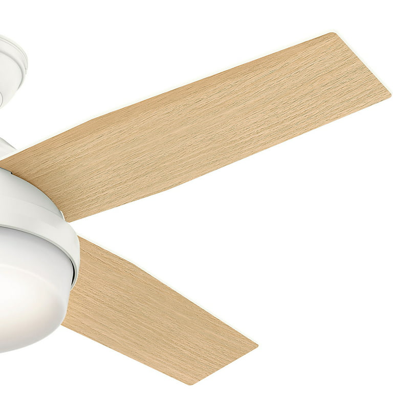 Hunter Fan 44in Dempsey Low Profile Outdoor Ceiling In Matte Nickel With Led Light And Handheld Remote Com - Hunter Dempsey Low Profile 44 Ceiling Fan With 3000k Led Light
