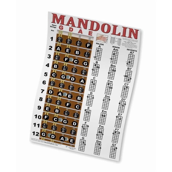 Mandolin Fretboard and Chord Chart Instructional Poster | 11"x17" |  CLASSIC | A New Song Music