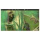 thumbnail image 4 of Tarjeta de mapa Humminbird CoastMaster Florida V2 Bahamas VX, 4 of 6