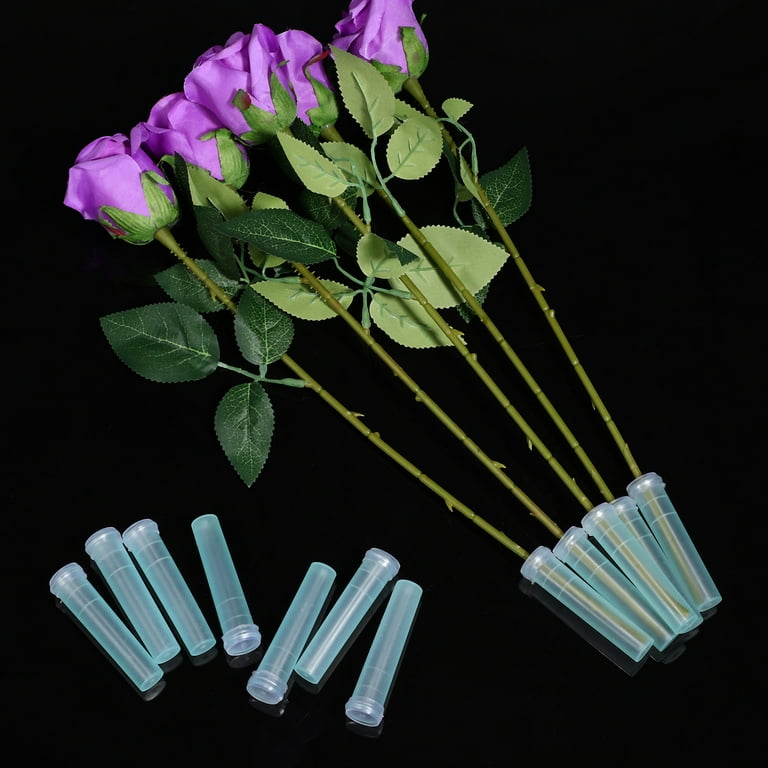 100Pcs Flower Water Tubes Transparent Plastic Flower Test Tubes Orchid  Tubes with Cap for Flower Arrangements 