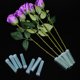 thumbnail image 4 of 100 tubos de agua para flores, de plástico transparente, para orquídeas, con tapa para arreglos florales., 4 of 7