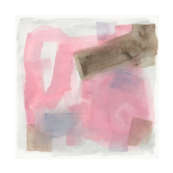 Trademark Fine Art June Erica Vess  Luz Rosa I Canvas Wall Art