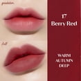thumbnail image 3 of ETUDE Fixing Tint #17 Berry Red (23AD) | Long Lasting High Pigmented Liquid Lipstick | Waterproof Lightweight Matte Finish Lip Stain | Full Coverage, 3 of 5